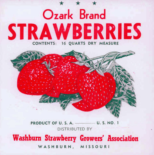Washburn Strawberry